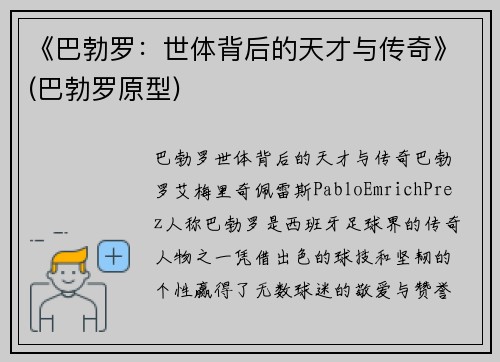 《巴勃罗：世体背后的天才与传奇》(巴勃罗原型)